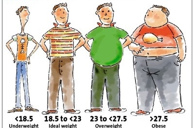 ожирение и потенция у мужчин фото